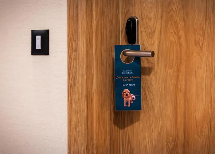 Metropolitan Sofia, A Member Of Radisson Individuals 4*